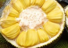 唇齿留香菠萝蜜 唇齿留香菠萝蜜