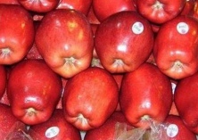 山竹孕妇可以吃吗