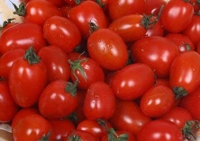 圣女果病虫害防治技术