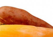 阿都农民种雪莲果助增收