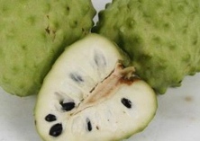 香蕉贮藏方法（下）