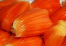 菠萝蜜新品种红肉菠萝蜜