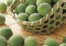 青梅丰产需要冬剪