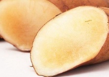 新疆阿瓦提县首次试种成功雪莲果