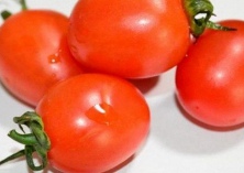 雨季要防圣女果早衰