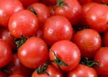 圣女果--护眼小天使