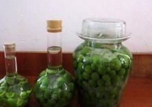 自制青梅酒的做法