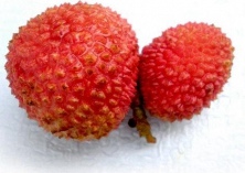 莲雾冰酒盼进军免税机场