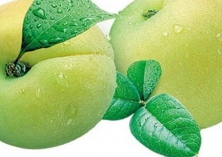 青梅高接换种及配套栽培技术