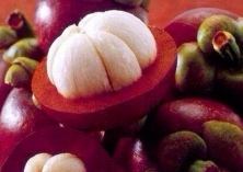 山竹开拓杭州建德致富路