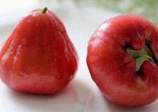 台商黄益丰（“莲雾大王”扎根海南十余年）