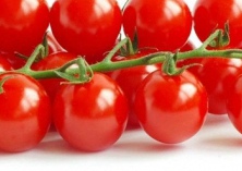 田阳种植圣女果正当时