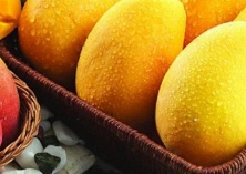 菠萝蜜的营养价值介绍