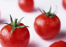 鲜食果圣女果的春季早栽技术