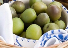 新鲜的橄榄要怎么保存（最长时间能放多久）