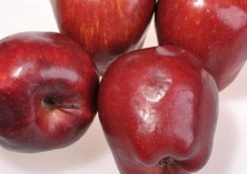 火红圣女果让日子更红火