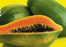 木瓜根腐病防治方法