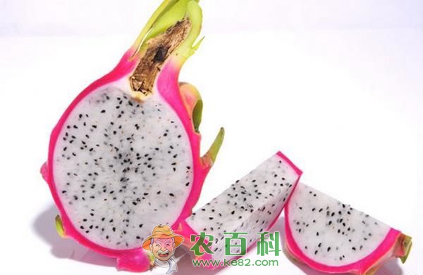 火龙果的吃法 火龙果的吃法