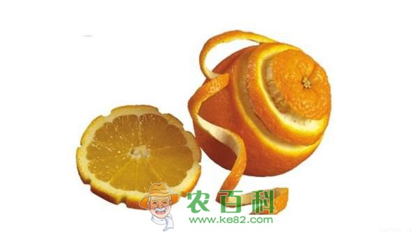 橙子皮的功效与作用