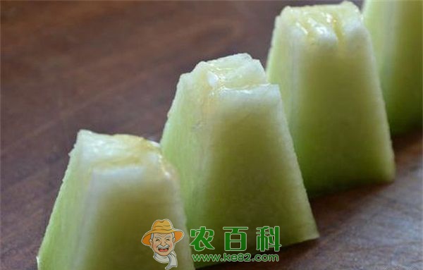 台农2号白兰瓜成熟