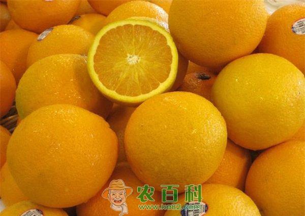 橙子 母橙子比公橙子甜吗
