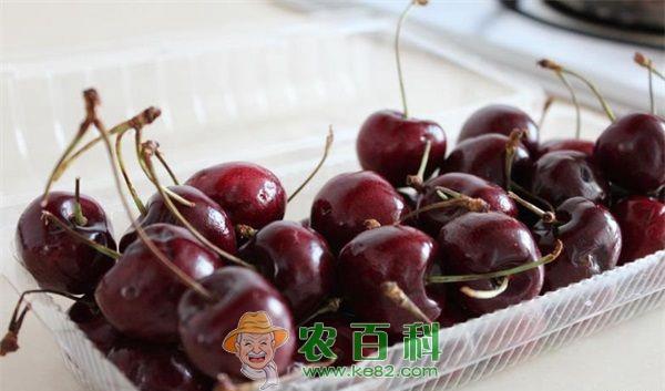 浙江浦江试种车厘子成功