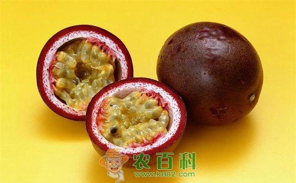 百香果种植技术