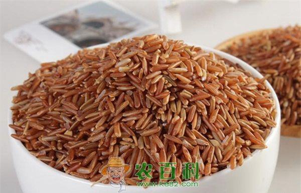 洋县红米的介绍