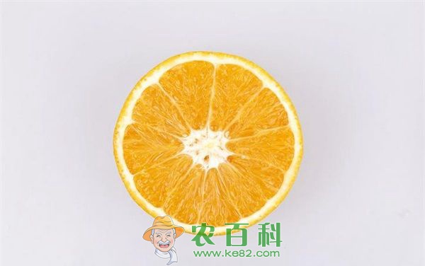 橙子 女白领弃铁饭碗 被逼创业种橙子