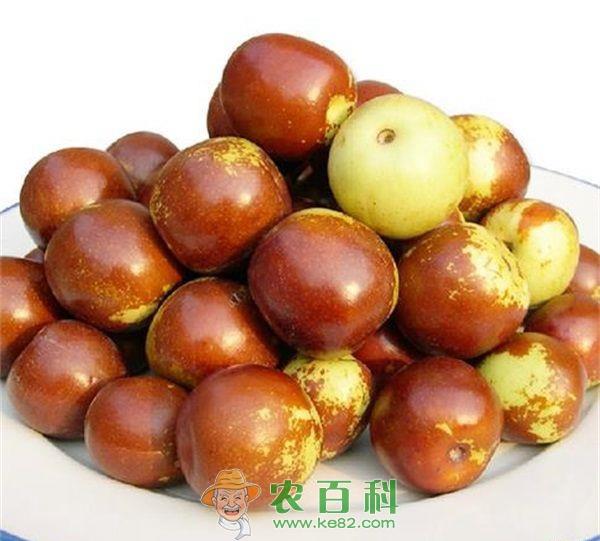 冬枣 良品铺子脆冬枣 天然的维生素丸
