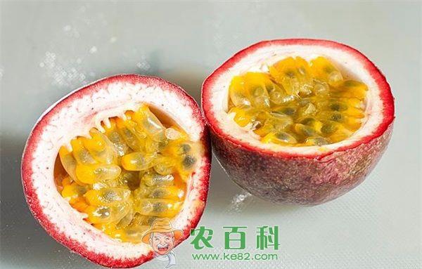 百香果的养护与病虫害防治