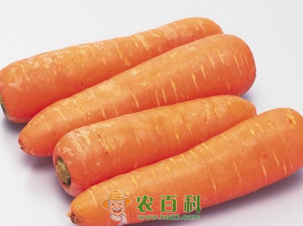 胡萝卜减肥