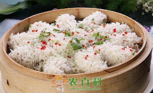 糯米--土客网网 糯米种植技术详解