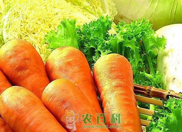 胡萝卜减肥