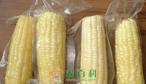 鲜玉米的保存方法