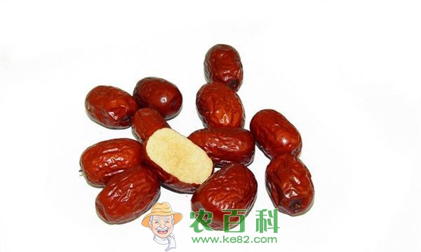 敦煌发展绿色生态大枣产业