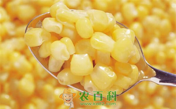 吃玉米的好处