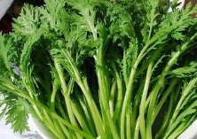 茼蒿的储存方法