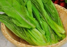 夏季油麦菜栽培技术要点