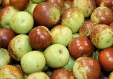 11月13日冬枣价格行情