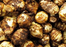 芋头的贮藏保鲜技术