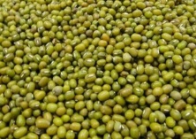 绿豆夏直播技术