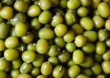 种植绿豆高产高效措施