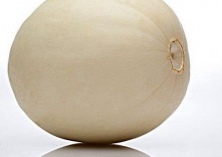 白兰瓜种植户获丰收