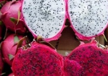 海南槟榔有嚼劲