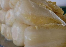 露地花椰菜施肥的三个关键技术