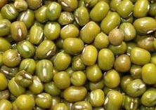 绿豆豆野螟为害症状及防治方法