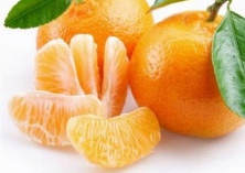 橘子内惊见活蛆(专家称可消化吸收)