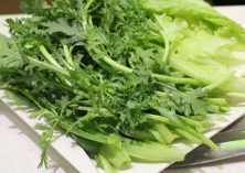 茼蒿的阳台种植技术