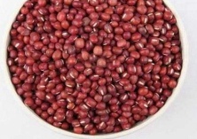 红小豆新品种介绍